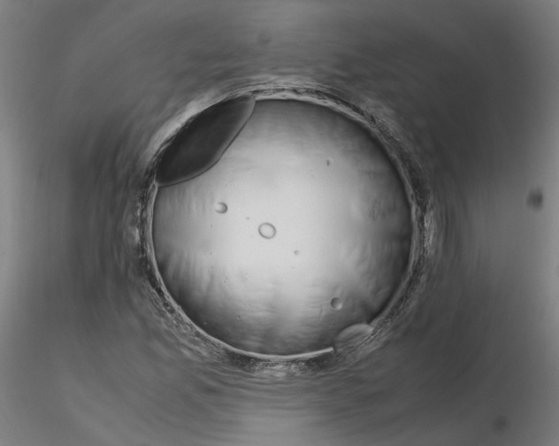 X0000115621165200912221222