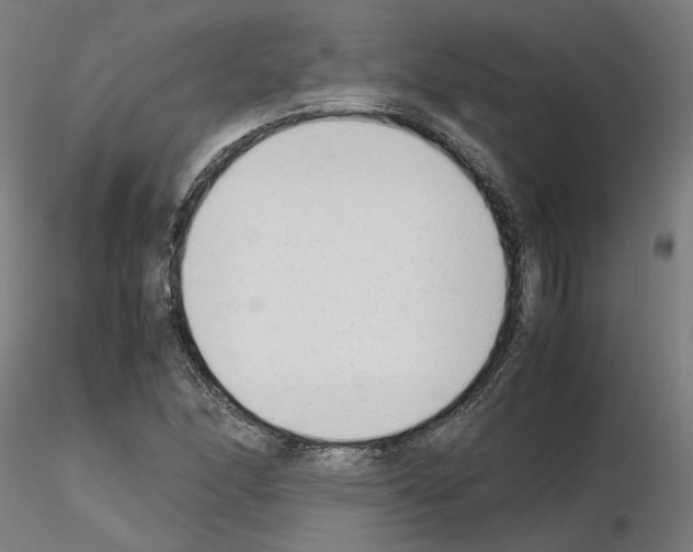 X0000115621166200912221222