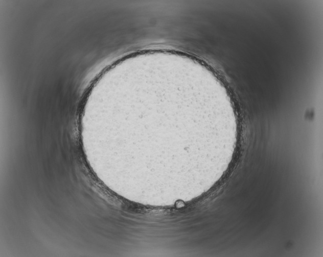X0000115621167200912221222