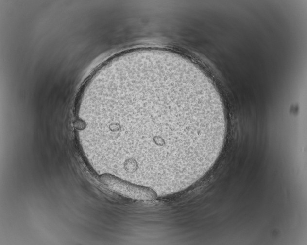 X0000115621168200912221222