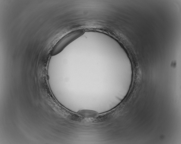 X0000115621169200912221222