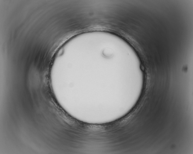 X0000115621170200912221222