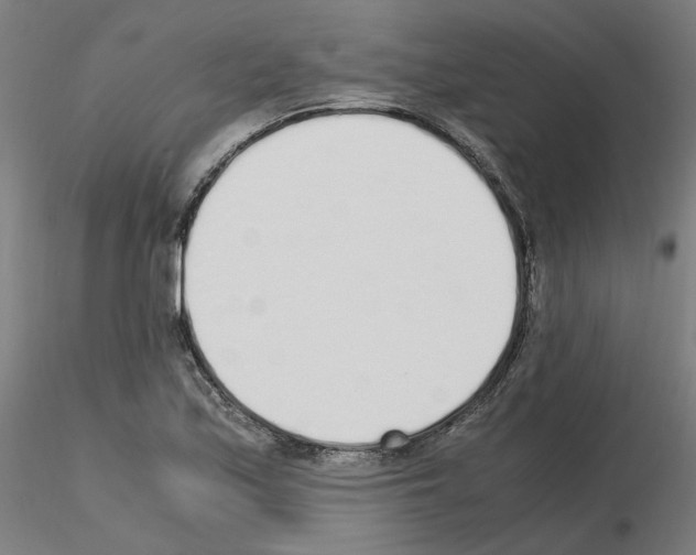 X0000115621171200912221222