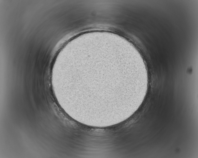 X0000115621172200912221222