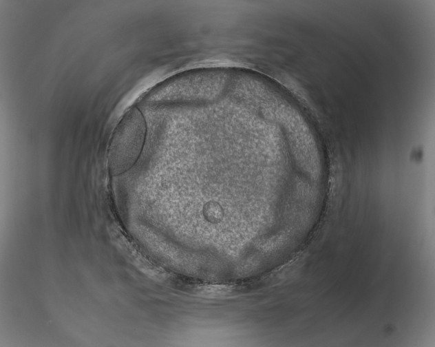 X0000115621173200912221222