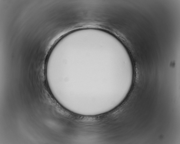 X0000115621174200912221222