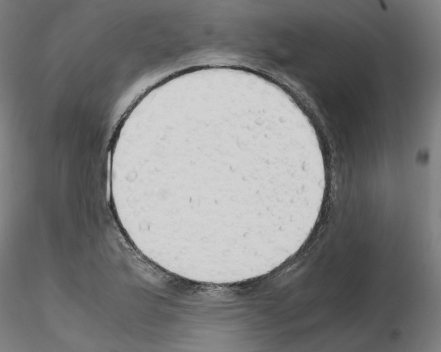 X0000115621175200912221222