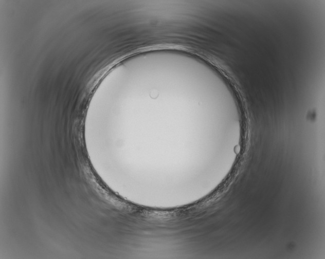 X0000115621177200912221222