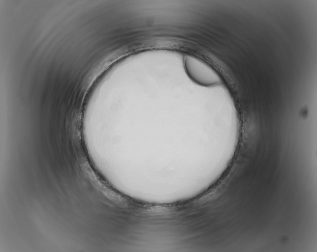 X0000115621178200912221222