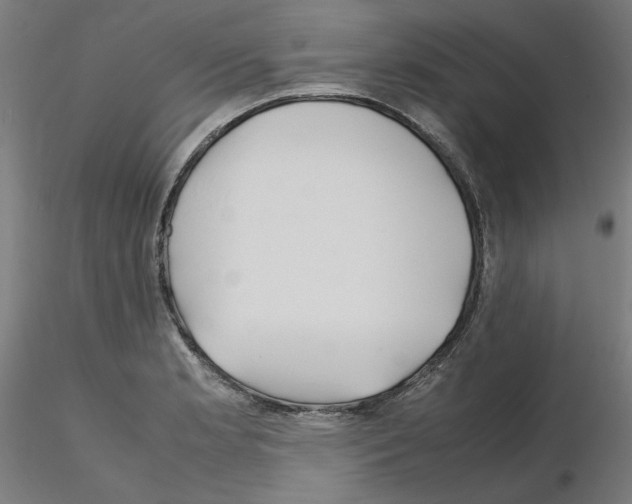 X0000115621181200912221222