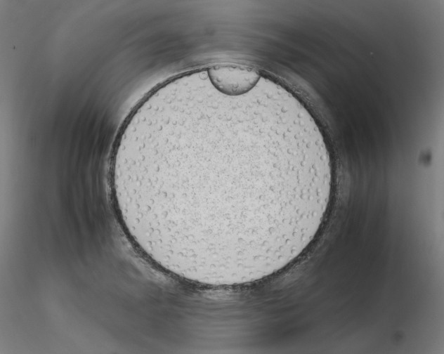 X0000115621182200912221222