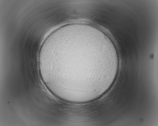 X0000115621184200912221222