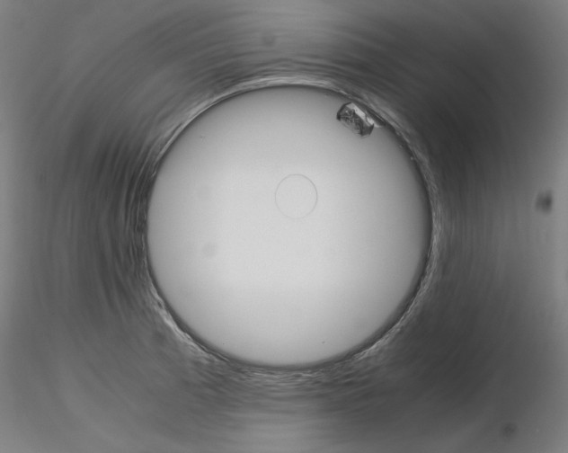 X0000115621185200912221222