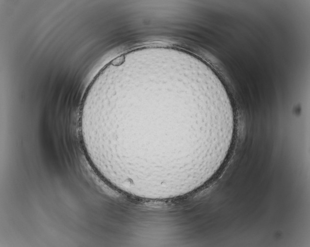 X0000115621186200912221222