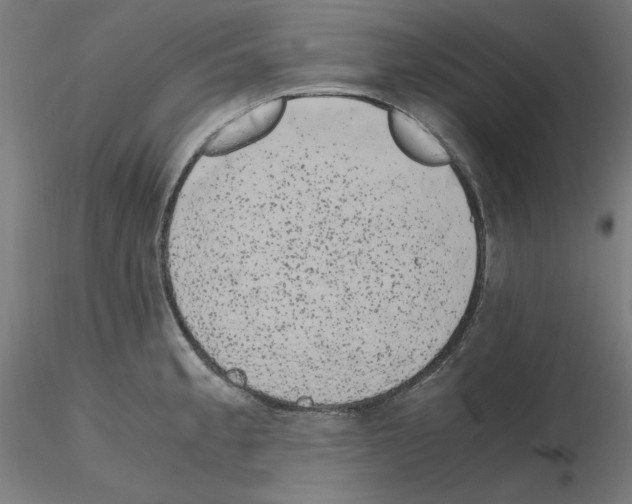 X0000115621189200912221222