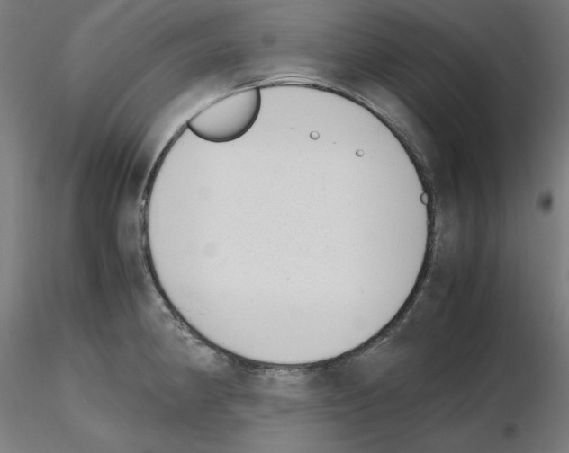 X0000115621190200912221222