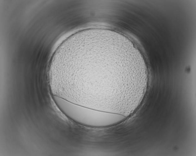 X0000115621192200912221222