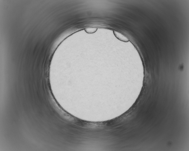 X0000115621195200912221221
