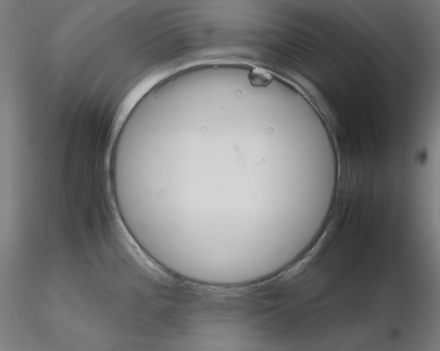 X0000115621196200912221221