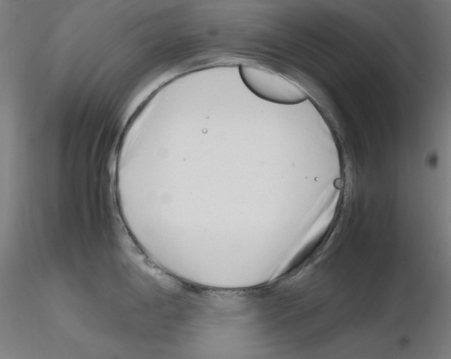 X0000115621198200912221221