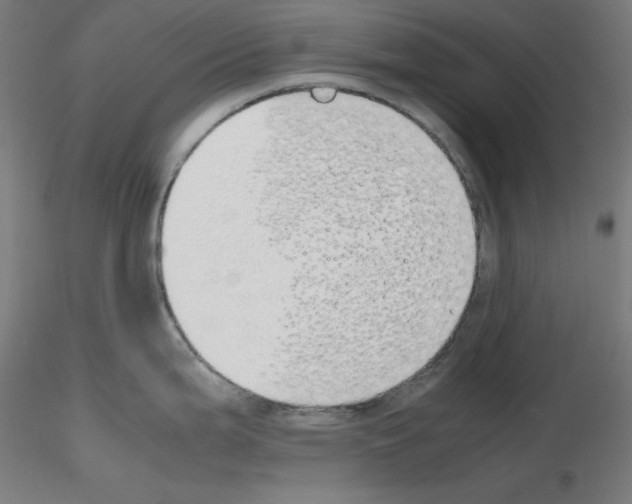 X0000115621199200912221221