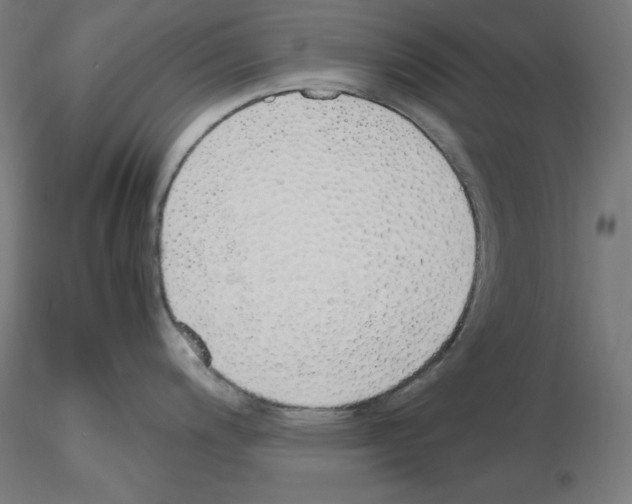 X0000115621200200912221221