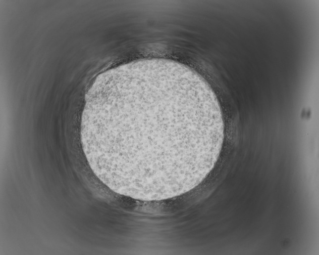 X0000115621201200912221221