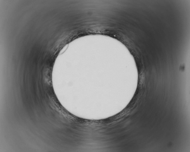 X0000115621202200912221221