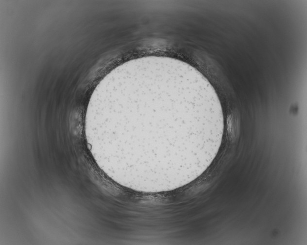 X0000115621203200912221221