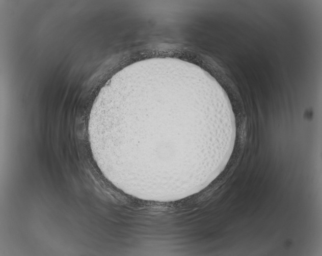 X0000115621204200912221221