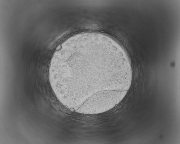 X0000115621205200912221221