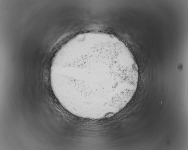 X0000115621206200912221221