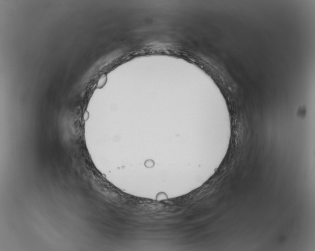 X0000115621207200912221221