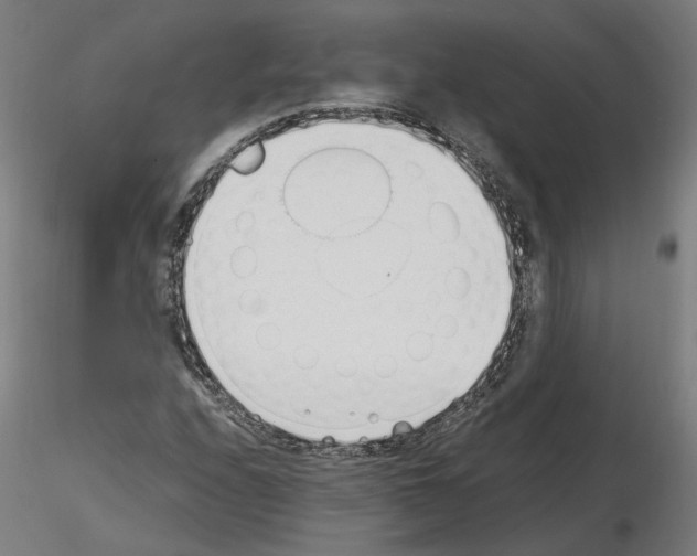 X0000115621208200912221221