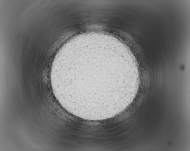 X0000115621209200912221221