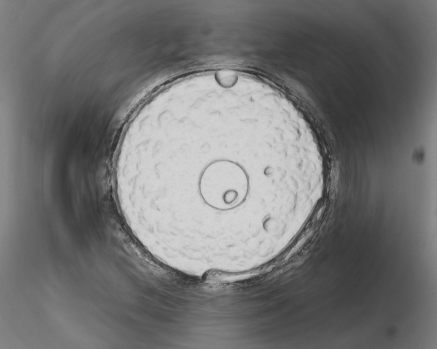 X0000115621212200912221221