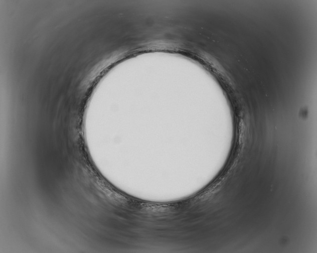 X0000115621213200912221221