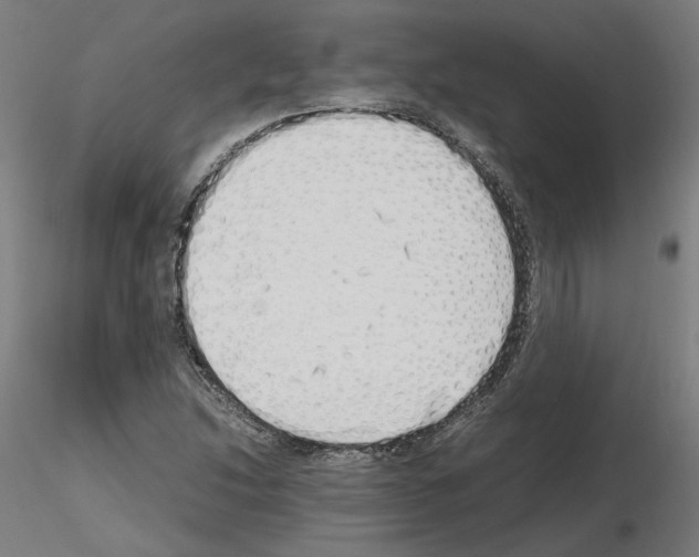 X0000115621214200912221221