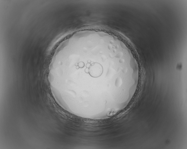 X0000115621215200912221221