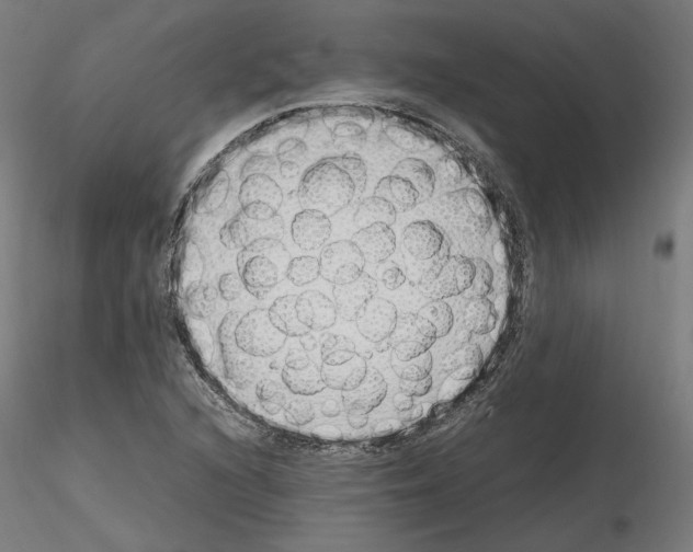 X0000115621216200912221221