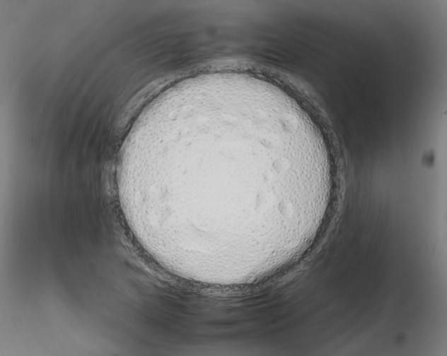 X0000115621217200912221221