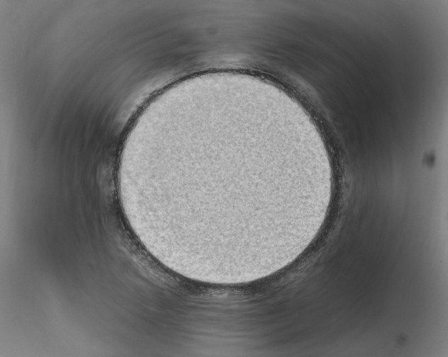 X0000115621218200912221221