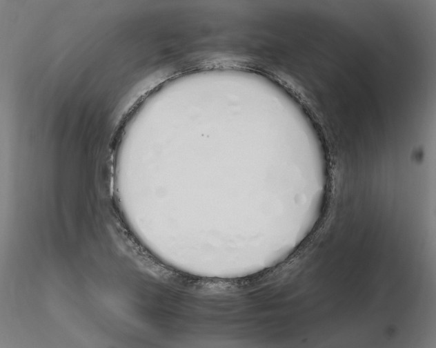 X0000115621219200912221221