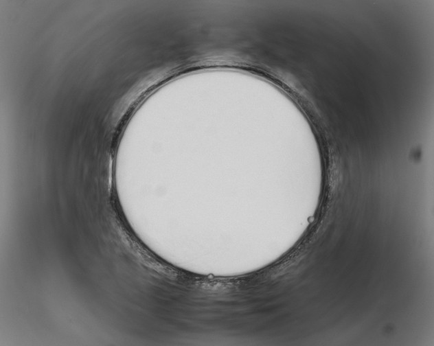 X0000115621221200912221221
