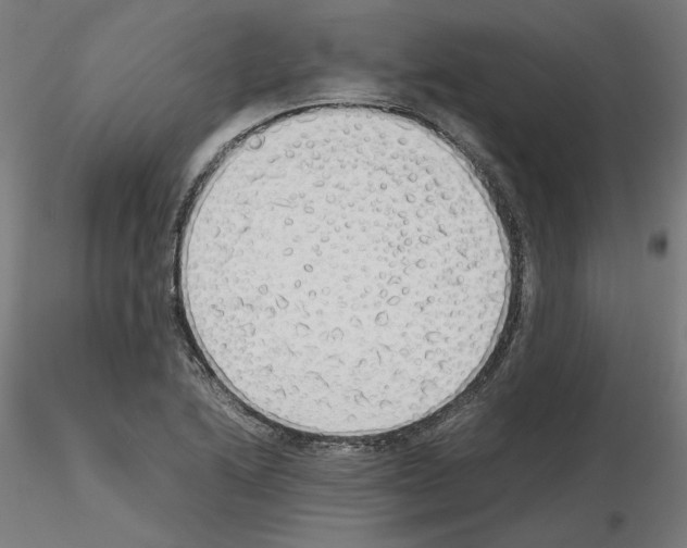 X0000115621222200912221221