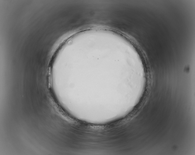 X0000115621223200912221221