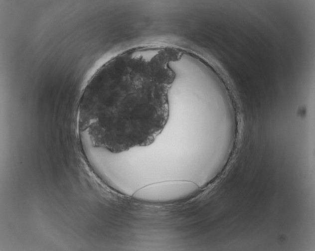 X0000115621224200912221221