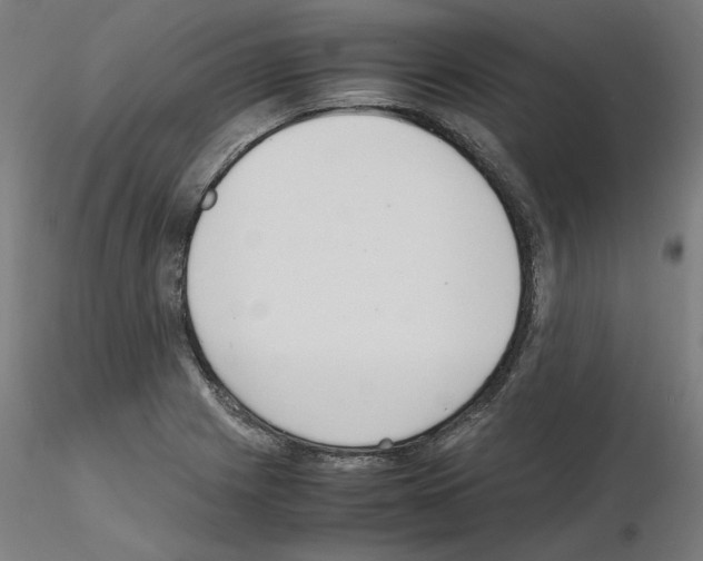 X0000115621225200912221221