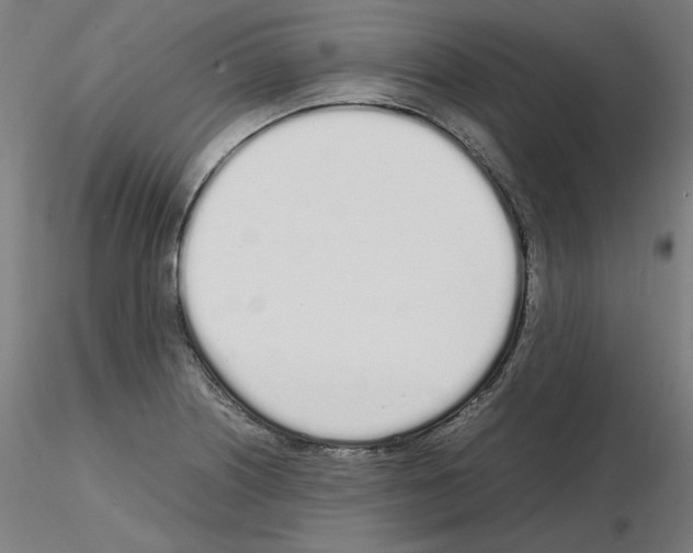 X0000115621226200912221221