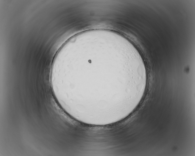 X0000115621228200912221221